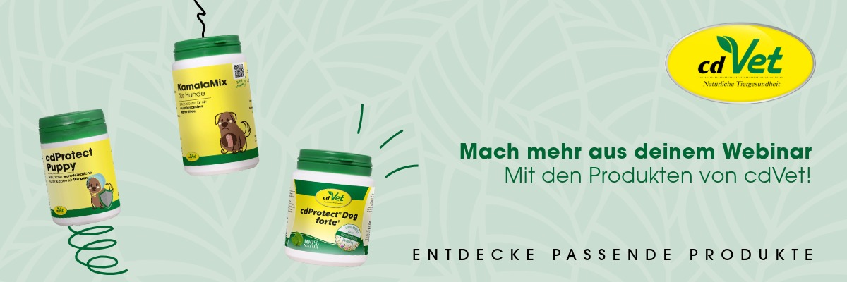 Kräuter, Pflanze, Können, Zinn