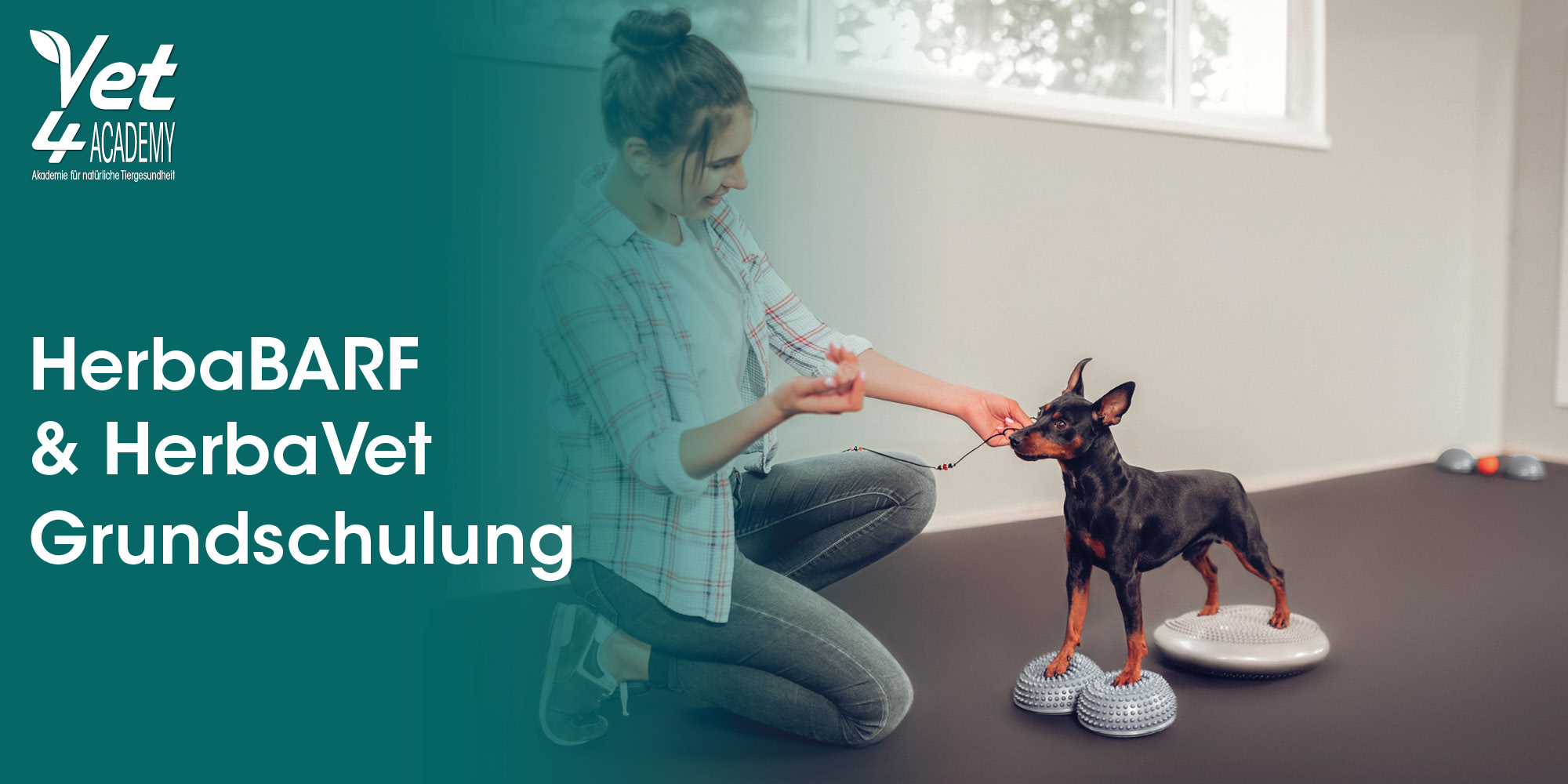 Hund, Haustier, Person, Jeans, Hosen, Person, Doktor, Hund, Haustier, Jeans